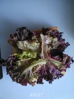 Make A sandwich step 1