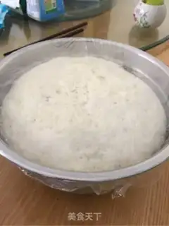 Make Dogs don