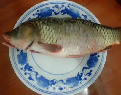 Make Steaming carp step 0