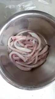 Make Skinny squid step 1