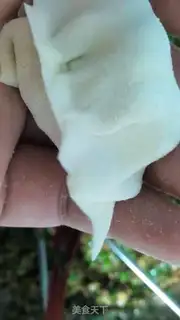 Make Plum mushrooms and pork dumplings step 4