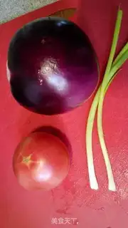 Make Tomato fried eggplant step 0
