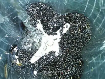 Make Black rice step 6
