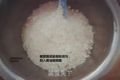 Make Coconut chip step 8