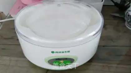 Make Homemade honey yogurt step 5