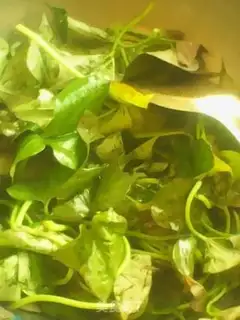 Make Red potato leaves step 1