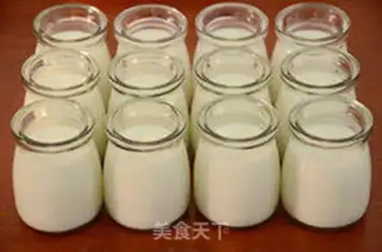 Make Classic old yogurt step 8