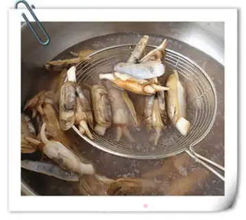 Make Squidfish step 3