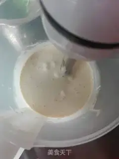 Make Yellow mustard yogurt cream step 2
