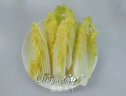 Make Bacillus soup step 5
