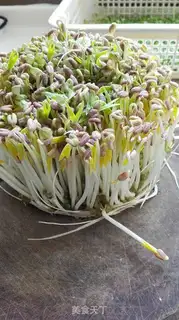 Make The green bean sprouts step 0