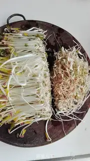Make The green bean sprouts step 1