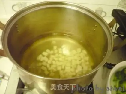 Make Wintermelon step 4