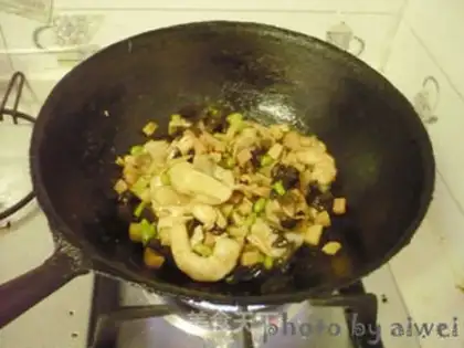 Make Wintermelon step 10