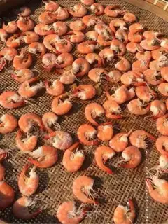 Make Hand-dry shrimp step 4