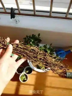 Make The beans step 5