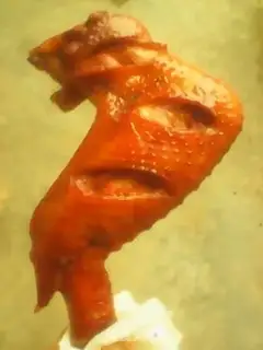Make Roasted chicken wings step 4