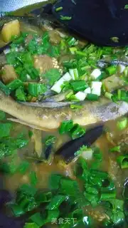 Make Fat fish tore eggplant step 6