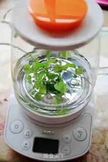 Make Mint tea step 1