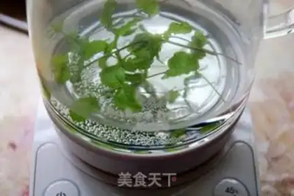 Make Mint tea step 3
