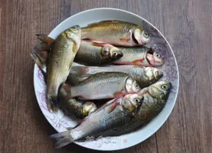 Make Live fish pot sticker step 1