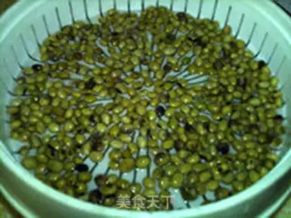 Make The bean bean step 3