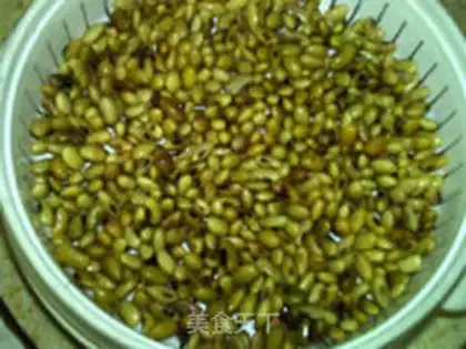 Make The bean bean step 5