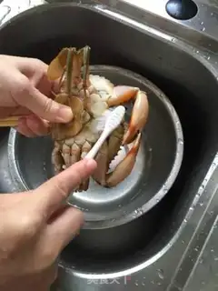 Make Crabs in guacamole step 2