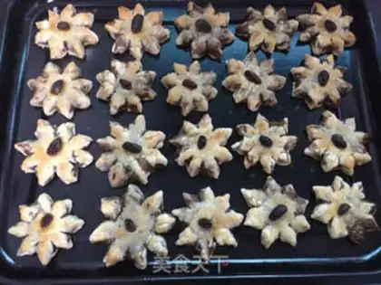 Make Octopus step 11