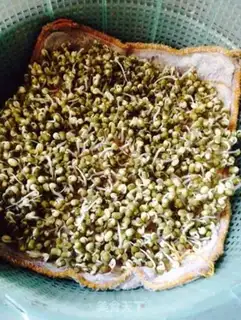 Make Homemade green bean sprouts step 7