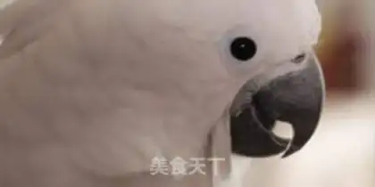 Make Taki-san step 20