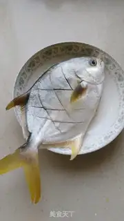 Make Vacuated goldfish step 1
