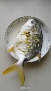 Make Vacuated goldfish step 2