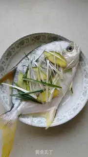 Make Vacuated goldfish step 4