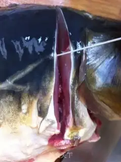 Make Spicy fish step 1