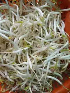 Make Blasted bean sprouts step 0