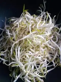 Make Blasted bean sprouts step 2