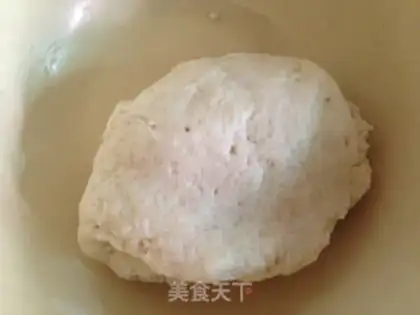 Make Octopus step 1