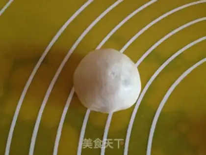 Make Octopus step 6