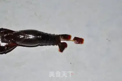Make Spicy lobster step 2