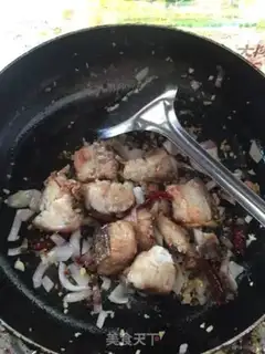 Make Squid step 8