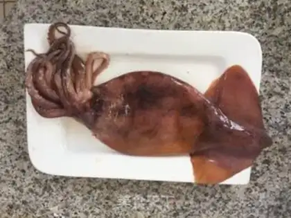 Make Roasted squid step 0