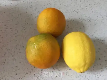 Make Orange lemon melon step 0