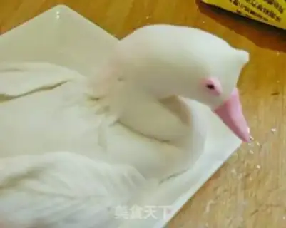 Make White Peacock step 8