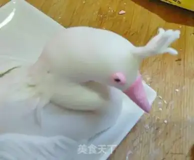 Make White Peacock step 9