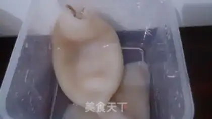 Make Squidfish step 1