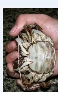 Make The Krabs of the Yang Luang Lake step 1