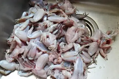 Make Boiling frogs step 1