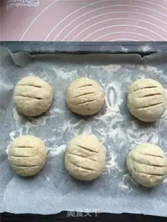 Make All wheat bread step 4
