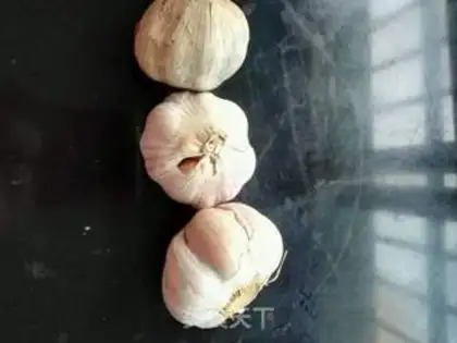 Make Homemade garlic step 0